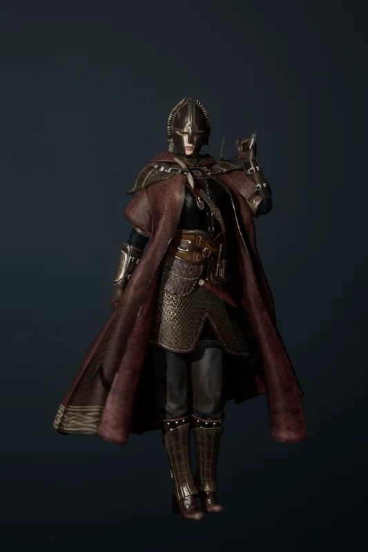 襲撃の放浪者の全体画像