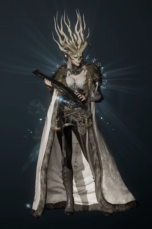 栄えある襲撃のドラウグの全体画像