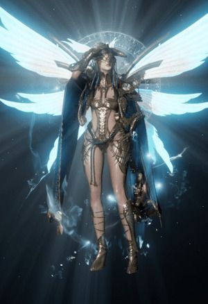 保護のビフレストの全体画像