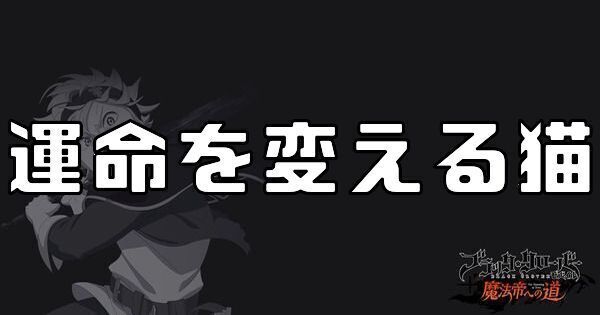 運命を変える猫