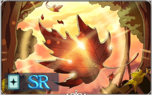 SR落ち葉の逆光