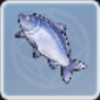 青い川魚