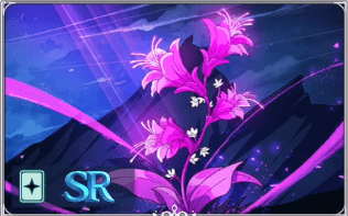 SR闇夜に咲く花