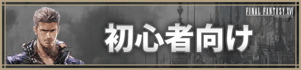 初心者向け
