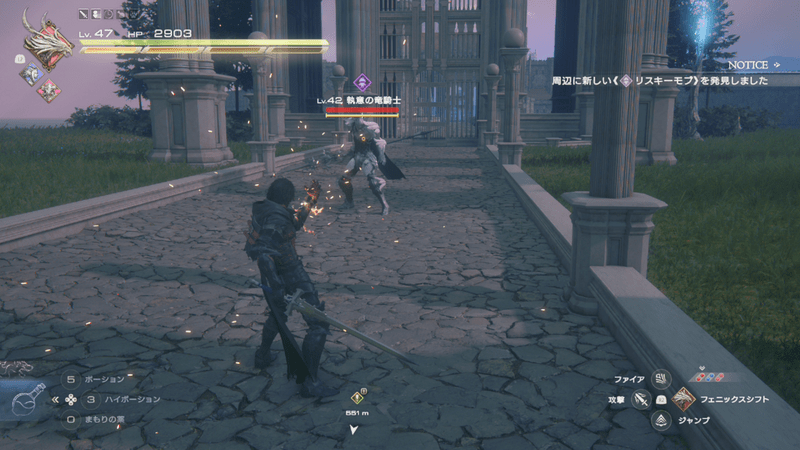 執意の竜騎士がいる周辺の様子