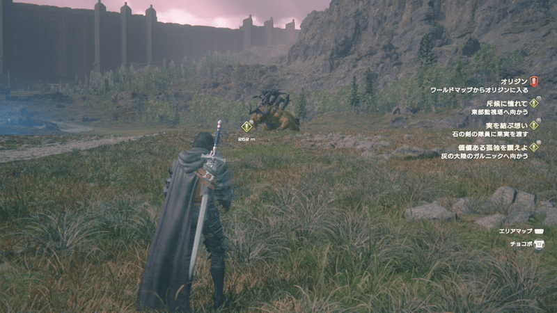 キングベヒーモスがいる周辺の様子