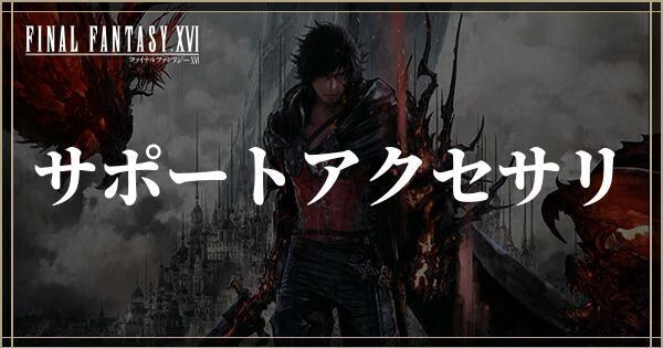 サポートアクセサリ