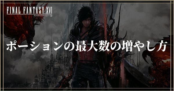 ポーションの最大数の増やし方