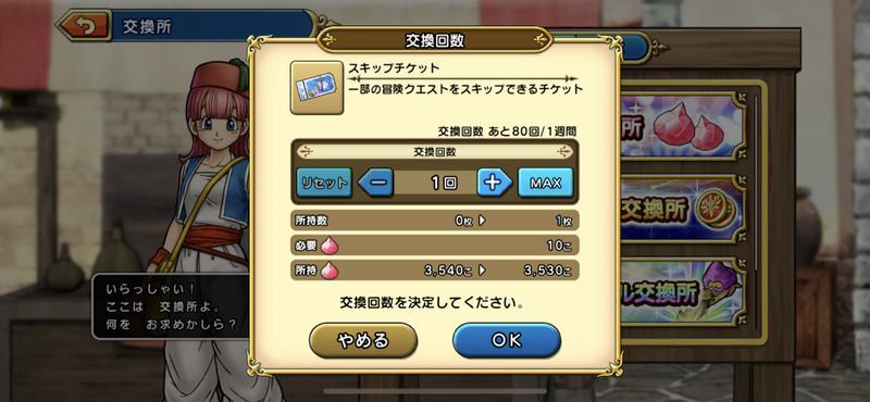 スキップチケットの画像