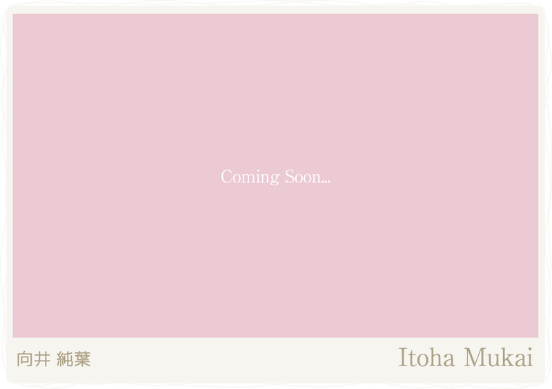 向井純葉のプロフィールとカード一覧