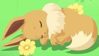 睡眠リサーチとは