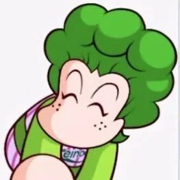 Rブロンコ=リー