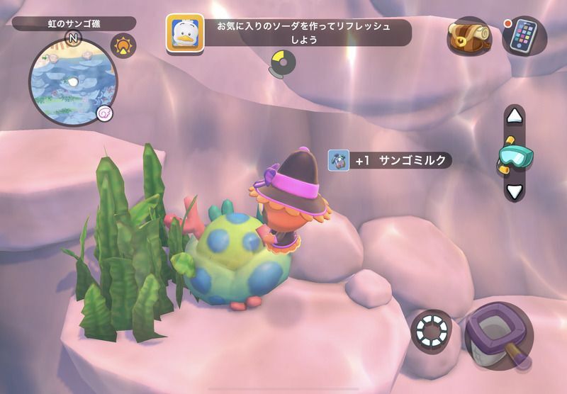 サンゴミルクの入手方法