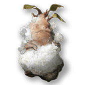 塩漬けマンドレイク