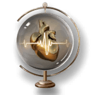 HFポラライゼイション