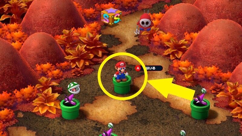 パックンを倒して中に入る}