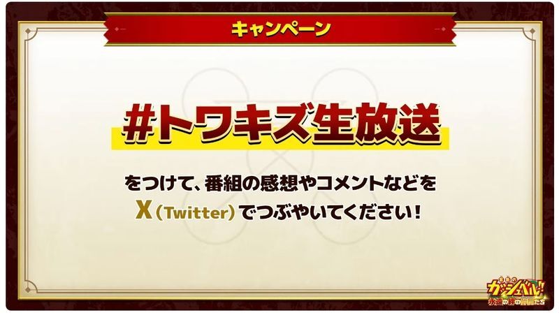 X（Twitter）キャンペーン