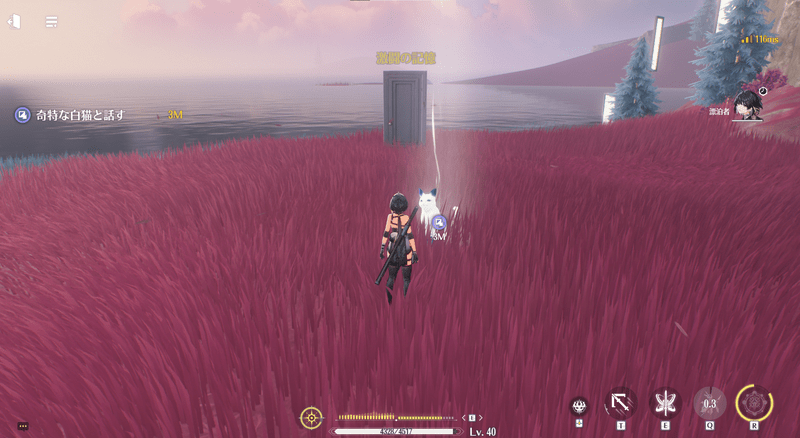 奇妙な白猫と話す