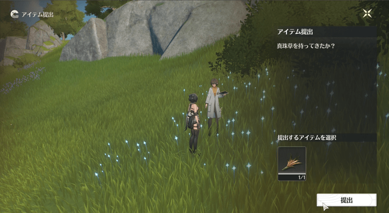 懸音に真珠草を渡す