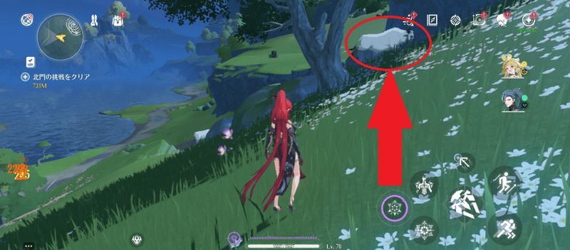 兽肉は獣肉でOK