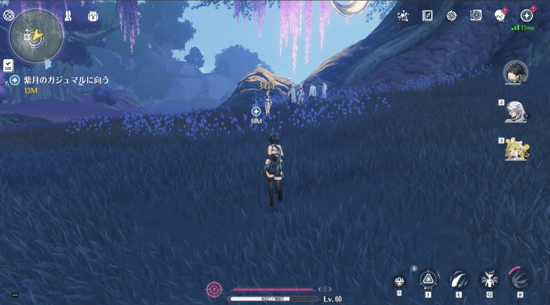 紫月のガジュマルに向かう