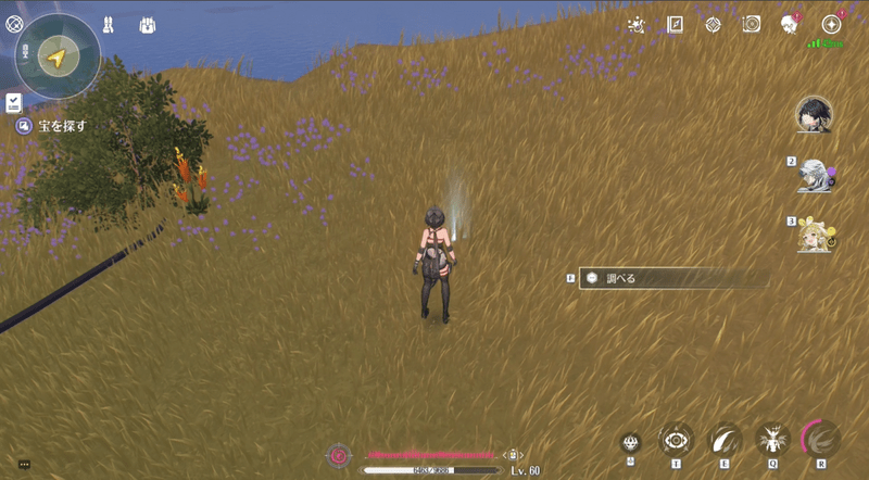 付近で宝を探す