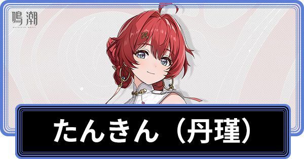 丹瑾の性能と評価