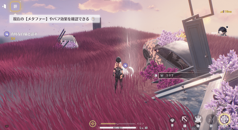 奇妙な白猫と話す