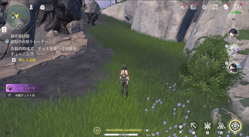 音骸をチューニング