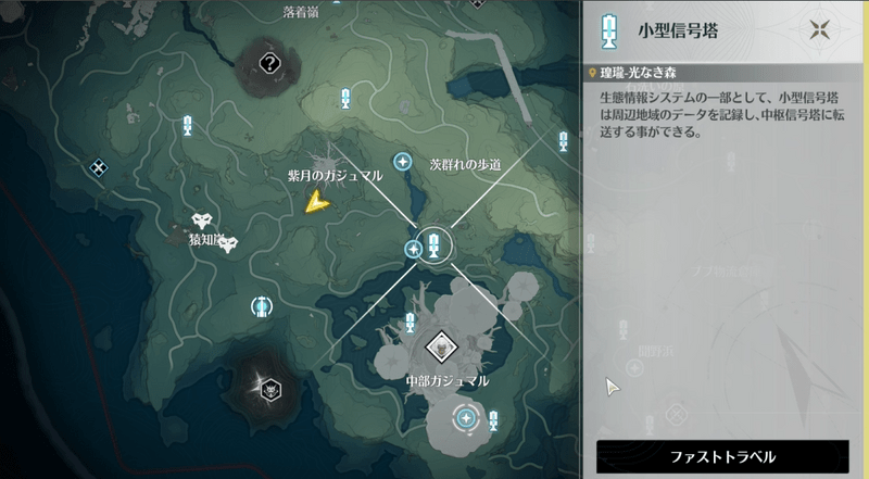 光なき森に飛ぶ