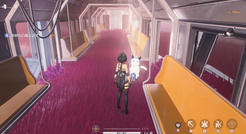 奇妙な白猫と話す