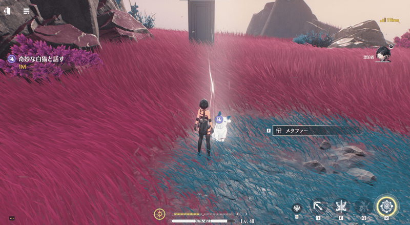 奇妙な白猫と話す