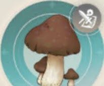 アイヒェロア突ダメージ上昇