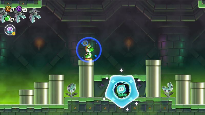 ワンダーフラワーの場所