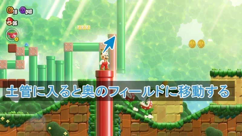 10フラワーコイン①の入手方法