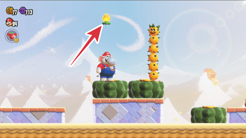 ワンダーフラワーの場所