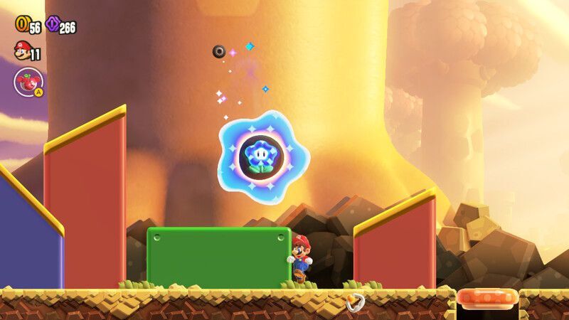 ワンダーフラワーの場所_2