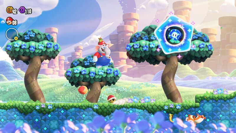 ワンダーフラワーの場所