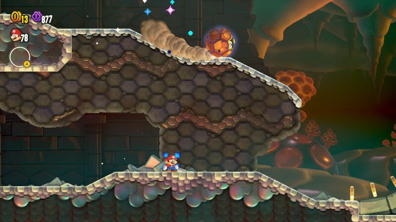 ワンダーフラワーの場所