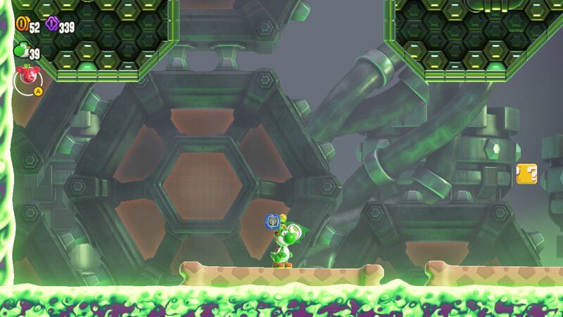 ワンダーフラワーの場所2