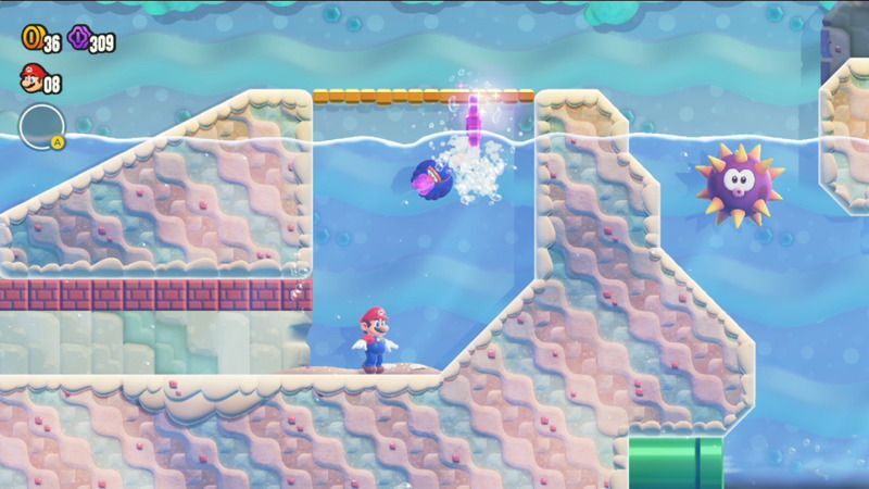 10フラワーコイン③の入手方法