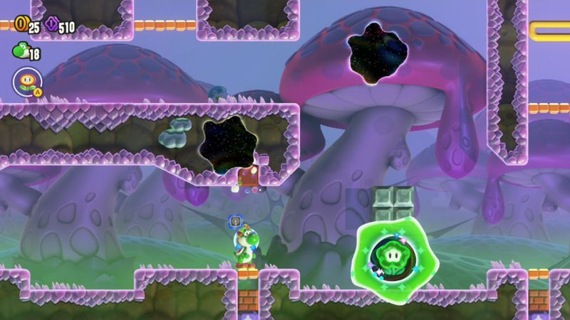 ワンダーフラワーの場所