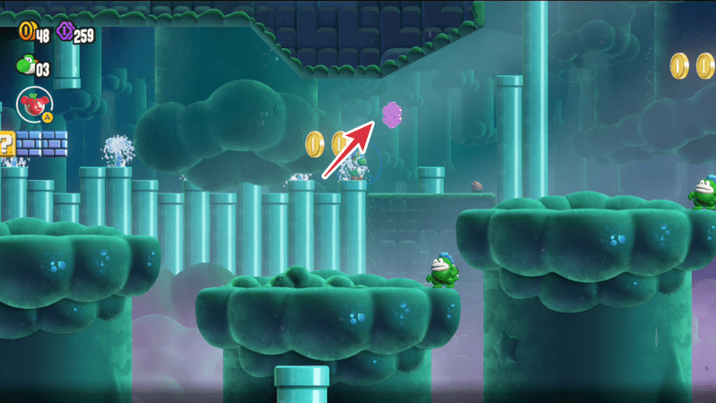 10フラワーコイン①の入手方法3