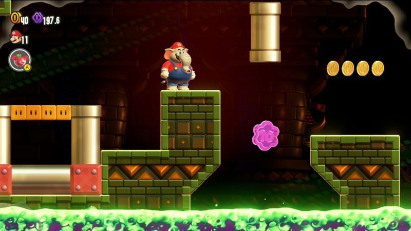 10フラワーコイン③の入手方法