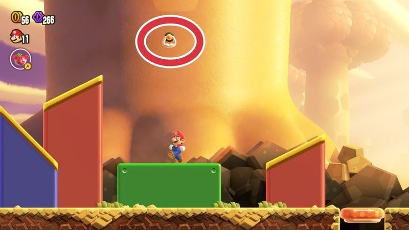 ワンダーフラワーの場所