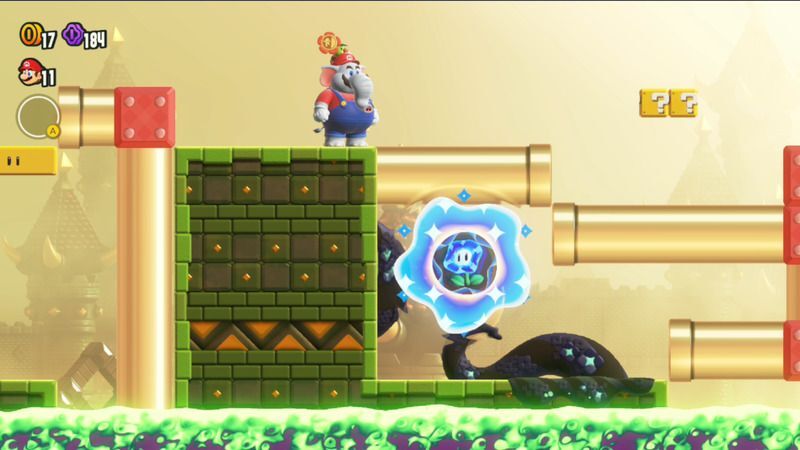 ワンダーフラワーの場所