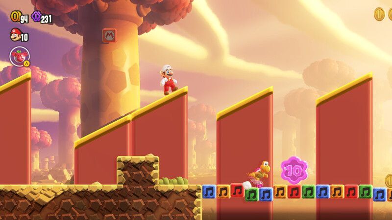 10フラワーコイン①の入手方法