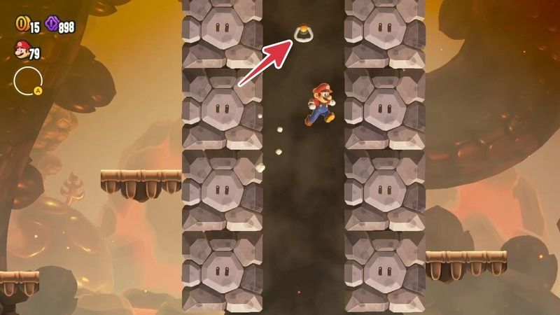 10フラワーコイン③の入手方法2