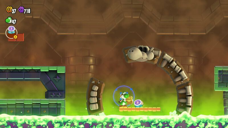 ワンダーフラワーの場所