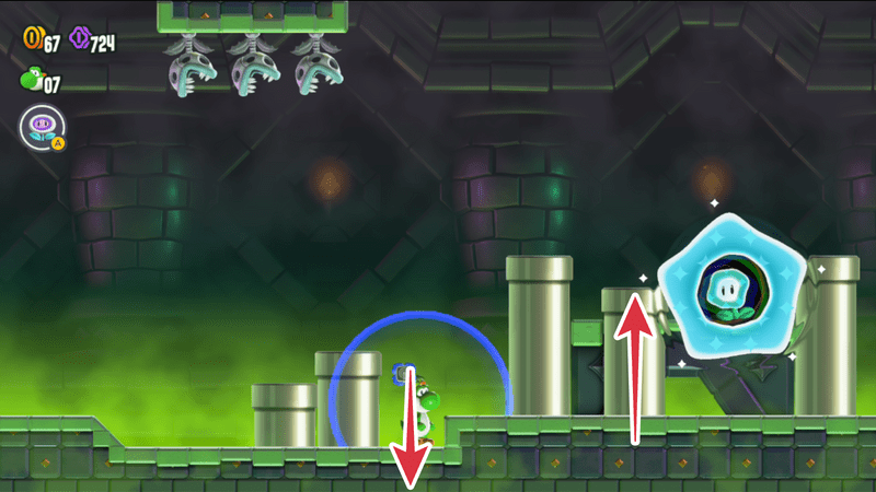 ワンダーフラワーの取り方